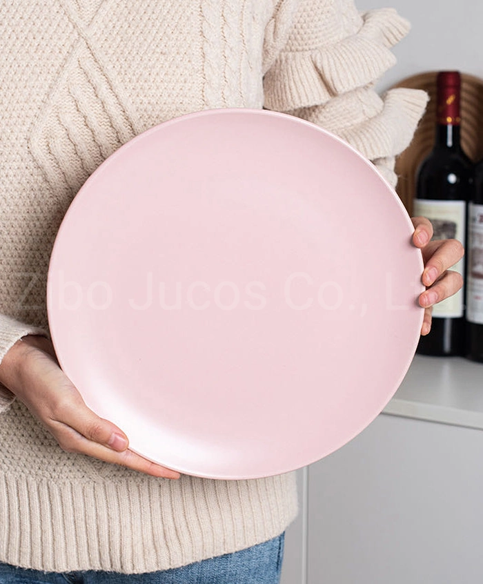 Wholesale Ceramic Dinner Plate Custom Color Design Logo Porcelain Plate for Promotion Gift Souvenirs Hotel Restauant Food Plates 10.0&quot; Big Plate Matte Color