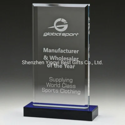 Custom Shape Engraved Clear Acrylic Crystal Award Trophy